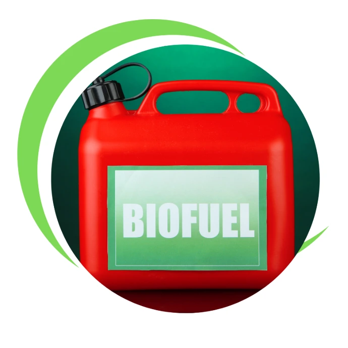K Logistics Soya Beans Bio Fuel
