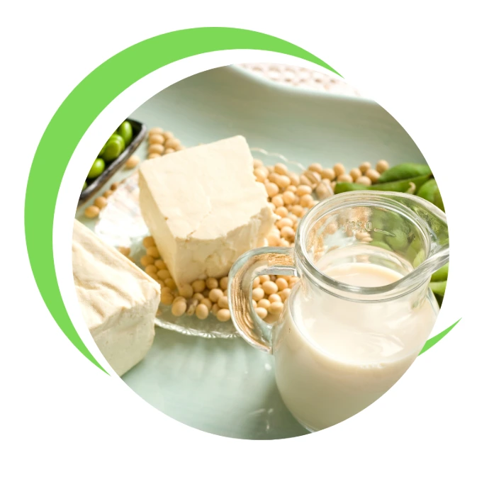 K Logistics Soya Beans for Food
