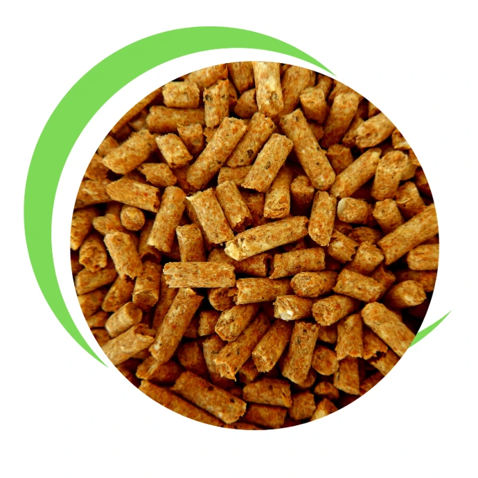 K Logistics Soya Beans Feed
